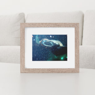 Dive with the Manta Rays -The Big Island Poster