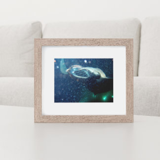 Dive with the Manta Rays -The Big Island Poster