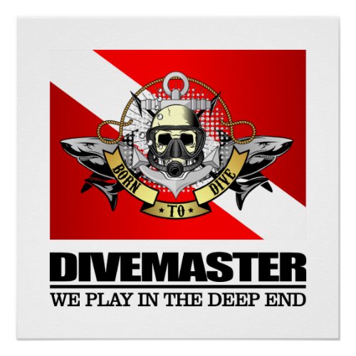 Divemaster BTD Poster