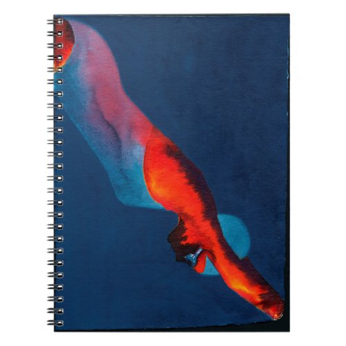 Diver 2011 notebook
