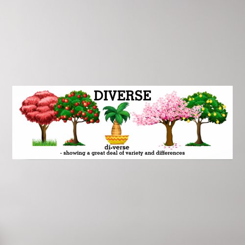 DIVERSE _ Vocabulary  Poster