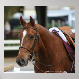 Diversified Artie Poster 2