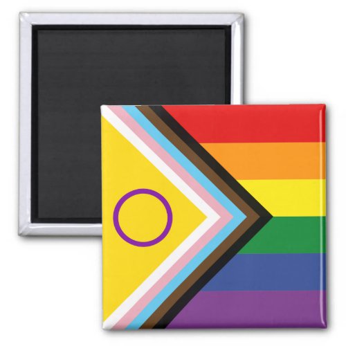 Diversity and Inclusion Progress Pride Flag Magnet