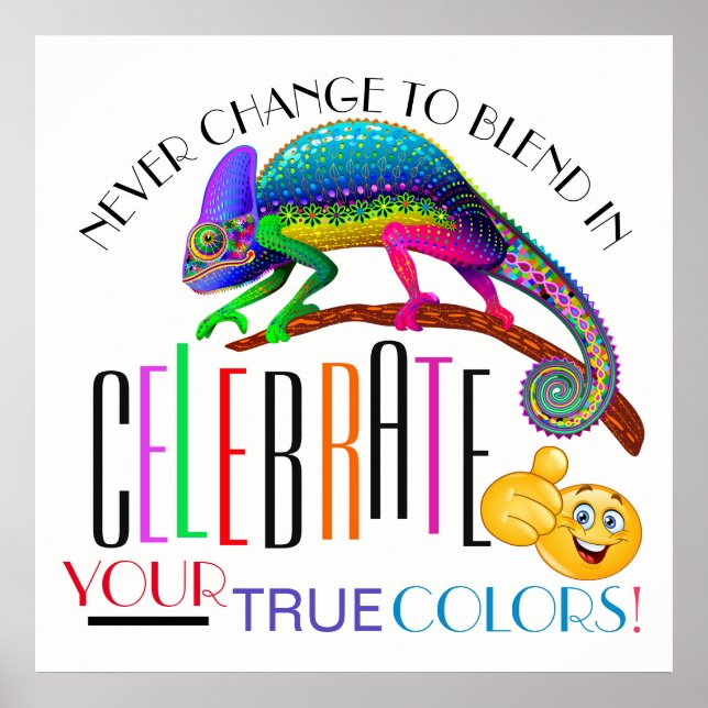 Diversity Encouragement Acceptance Poster (Front)