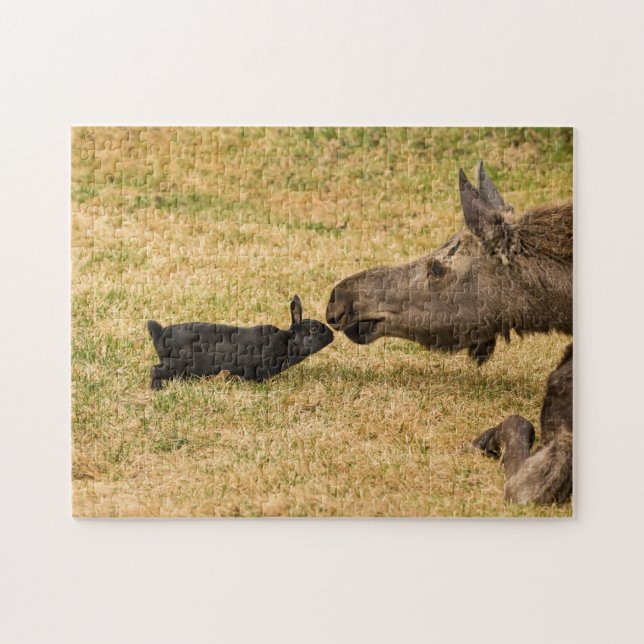 Diversity Jigsaw Puzzle (Horizontal)