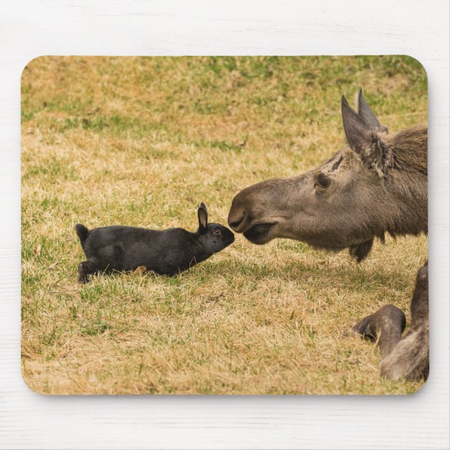 Diversity Mouse Pad (Front)