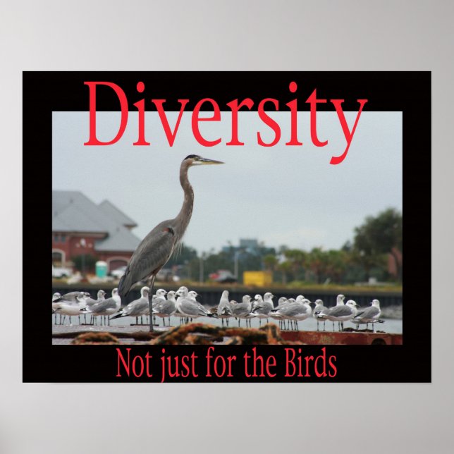 Diversity, not just for the birds poster (Front)
