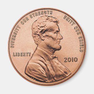 Diversity Our Strength Unity Our Shield Magnet