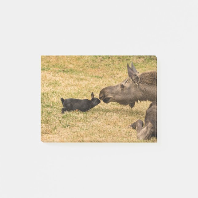 Diversity Post-it Notes (Front)