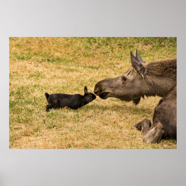 Diversity Poster (Front)