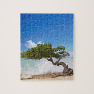 Divi Divi Tree, Eagle Beach, Aruba, Caribbean Jigsaw Puzzle