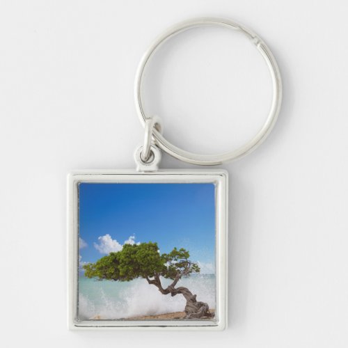 Divi Divi Tree Eagle Beach Aruba Caribbean Keychain