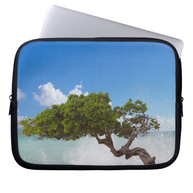 Divi Divi Tree, Eagle Beach, Aruba, Caribbean Laptop Sleeve (Front)