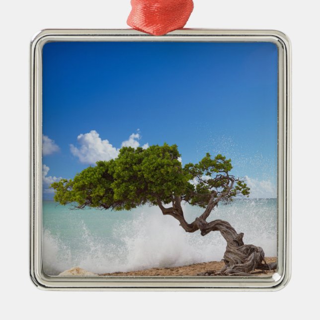Divi Divi Tree, Eagle Beach, Aruba, Caribbean Metal Ornament (Front)