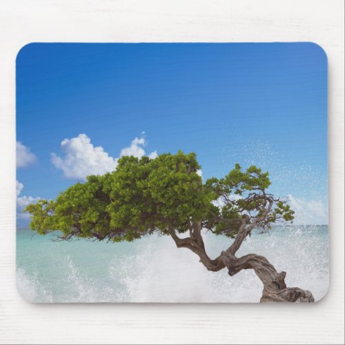 Divi Divi Tree Eagle Beach Aruba Caribbean Mouse Pad