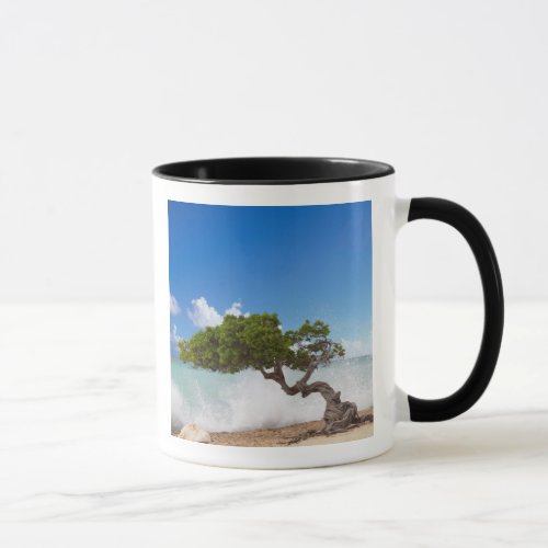 Divi Divi Tree Eagle Beach Aruba Caribbean Mug