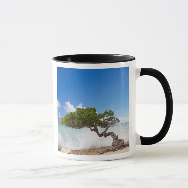 Divi Divi Tree, Eagle Beach, Aruba, Caribbean Mug (Right)