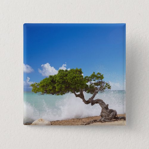 Divi Divi Tree Eagle Beach Aruba Caribbean Pinback Button