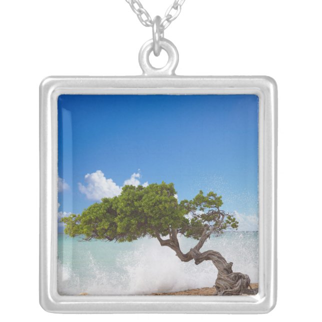 Divi Divi Tree, Eagle Beach, Aruba, Caribbean Silver Plated Necklace (Front)