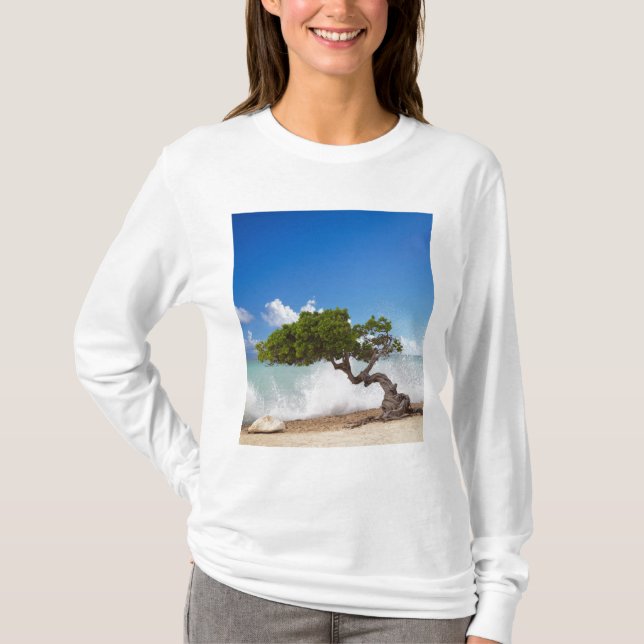 Divi Divi Tree, Eagle Beach, Aruba, Caribbean T-Shirt (Front)