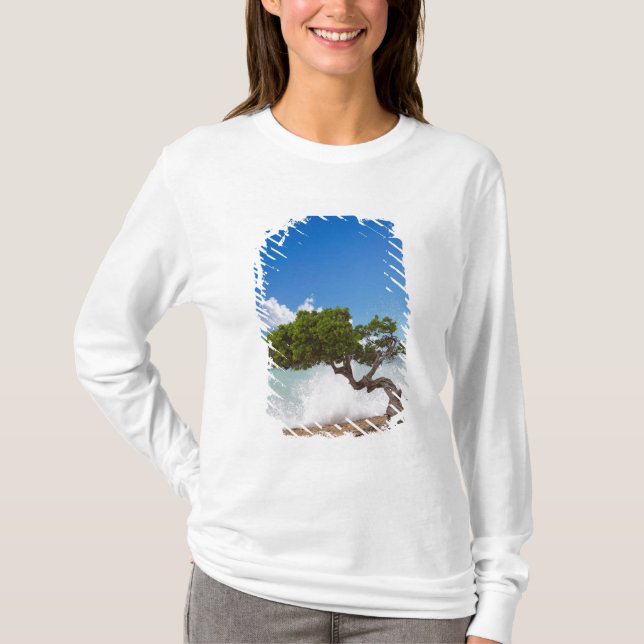 Divi Divi Tree, Eagle Beach, Aruba, Caribbean T-Shirt (Front)