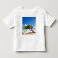 Divi Divi Tree, Eagle Beach, Aruba, Caribbean