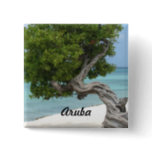 Divi Divi Tree in Aruba Pinback Button