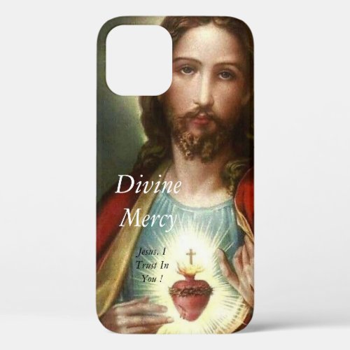 Divine Mercy    iPhone 12 Case