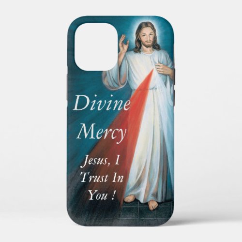 Divine Mercy iPhone 12 Mini Case