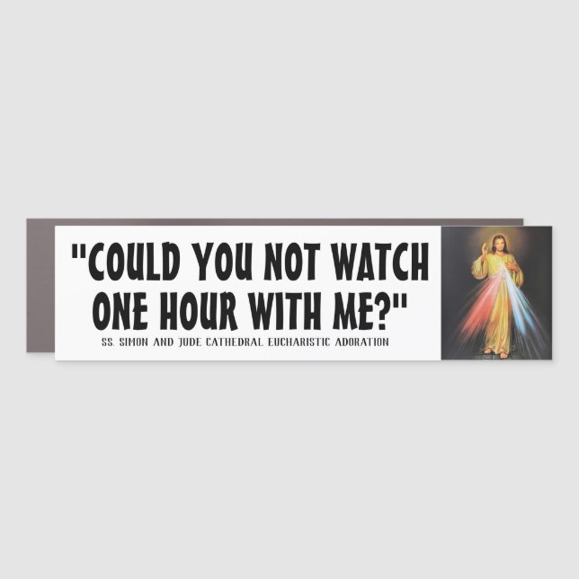 Divine Mercy Eucharistic Adoration Jesus Religious Car Magnet (Front)
