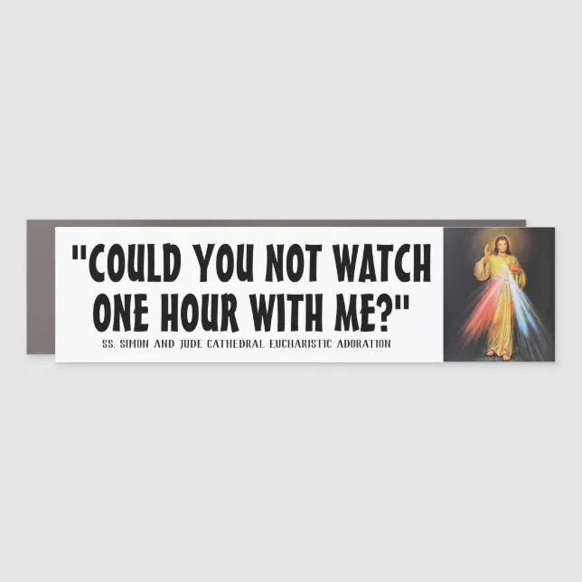Divine Mercy Eucharistic Adoration Jesus Religious Car Zazzle