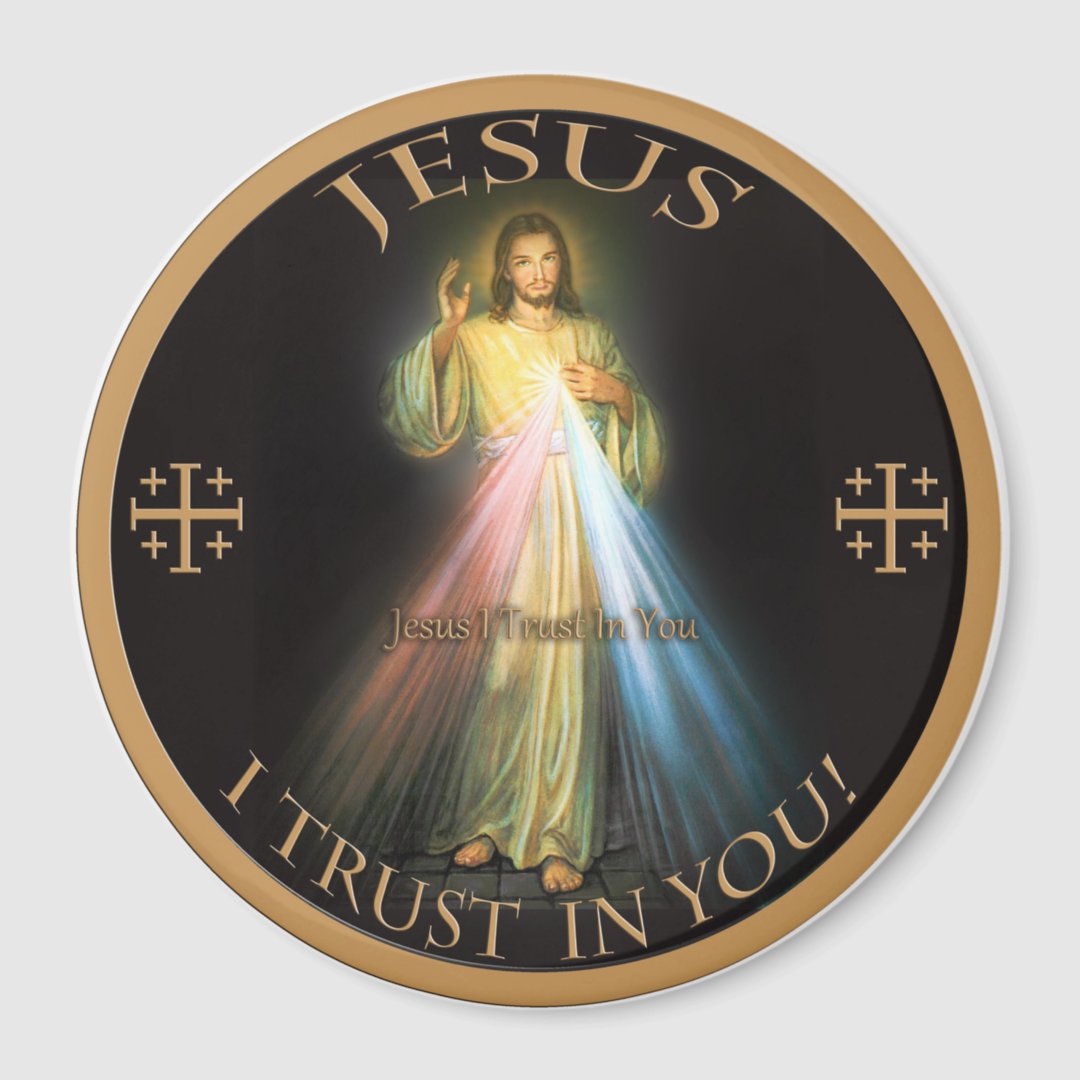 DIVINE MERCY, JESUS I TRUST IN YOU. MAGNET | Zazzle