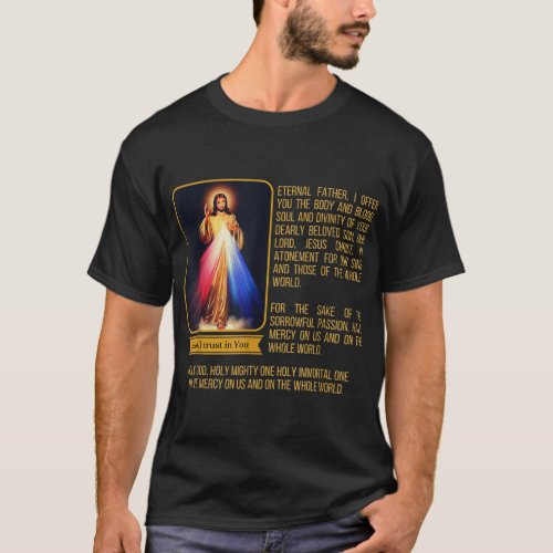Divine Mercy Jesus Image Chaplet Novena Prayer Cat T_Shirt