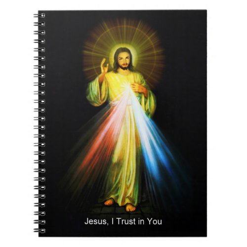 Divine Mercy Jesus Notebook