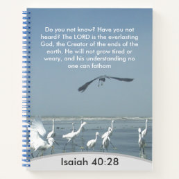 Divine Unfathomable Understanding: Isaiah 40:28 Notebook