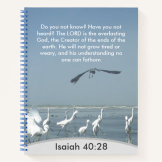 Divine Unfathomable Understanding: Isaiah 40:28 Notebook