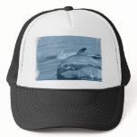 Diving Dolphin Baseball Hat