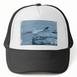 Diving Dolphin Baseball Hat
