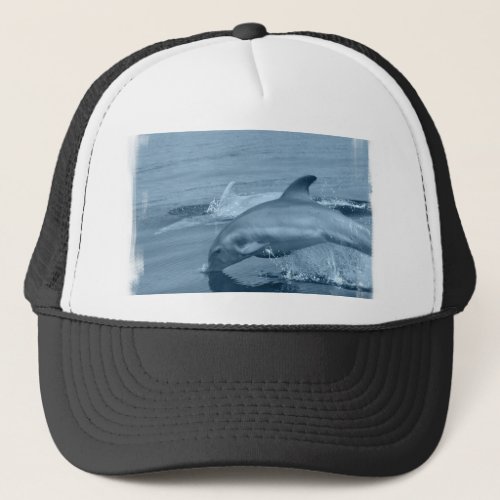 Diving Dolphin Baseball Hat