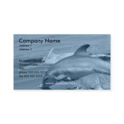 Diving Dolphin Business Card