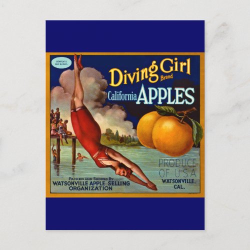 Diving Girl Apples _ Vintage Fruit Crate Label Postcard