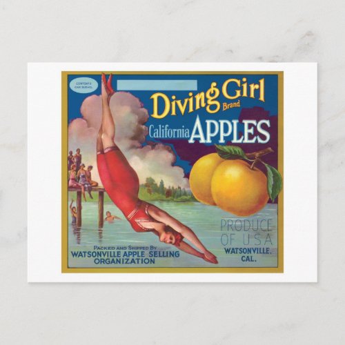 Diving Girl Vintage Apples Label Postcard