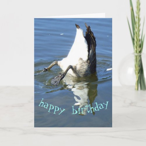 Diving goose Birthday Card
