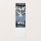 Diving Gulls (Outside Unfolded)
