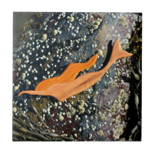 diving mermaid tile