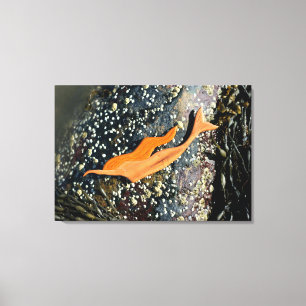 diving mermaid wrapped canvas print