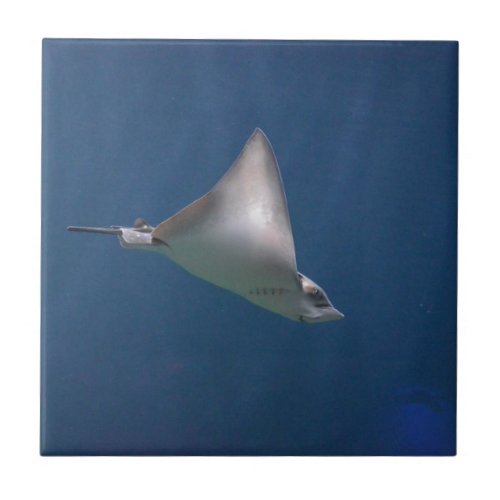 Diving Stingray Tile