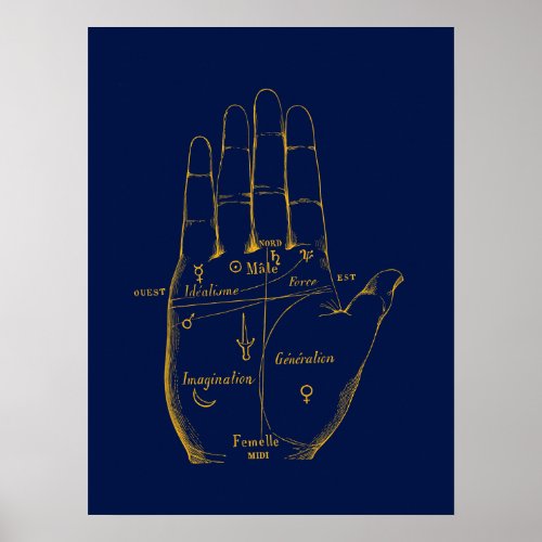 Division of the hand poster