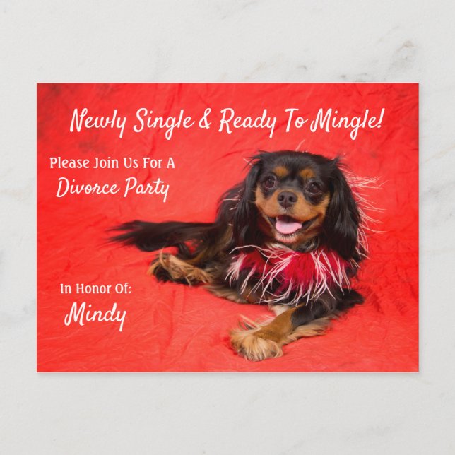 Divorce Party Cavalier King Charles Spaniel Invitation Postcard (Front)