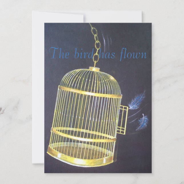 Divorce Party funny personalized Invitation (Front)